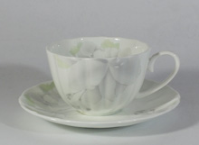 Набор 300 мл чашка чайная с блюдцем 1/2, декор Магнолия Грэй, фарфор Hatori (Freydis) - Австрия
